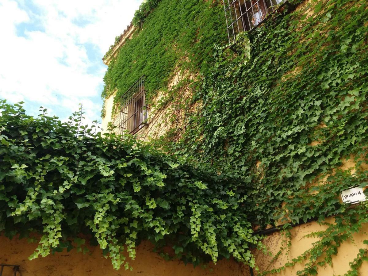 Ferienwohnung Flamencos Apartamento Con Garage 5 Pax Sevilla Exterior foto